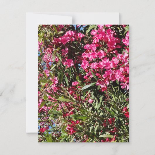 Roze bloem RSVP kaartje (Voorkant)