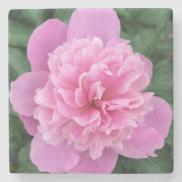 Roze bloem stenen onderzetter