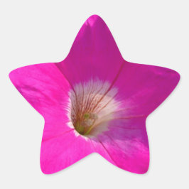 roze bloem ster sticker