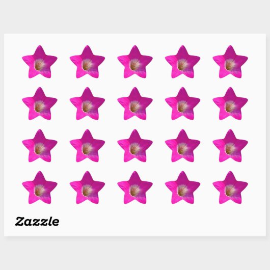 roze bloem ster sticker (Vel)