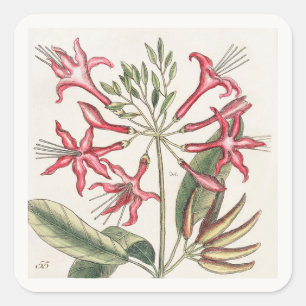 Roze bloem sticker vel