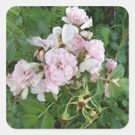  Roze Bloem Stickers (Voorkant)