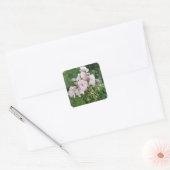 Roze Bloem Stickers (Envelop)