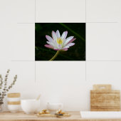 Roze bloem, tot 24 x 18 inch foto poster (Keuken)