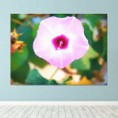 Roze Bloem van de Morgenbloem Canvas Afdruk (Insitu (Houten vloer))