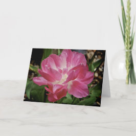 Roze bloem [Wenskaart] Kaart