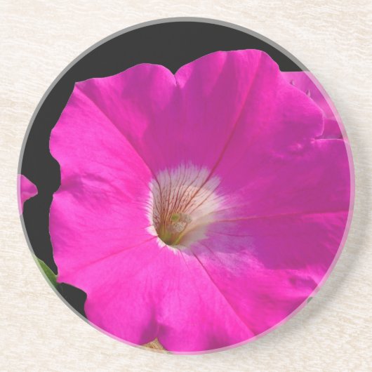 roze bloem zandsteen onderzetter (Voorkant)