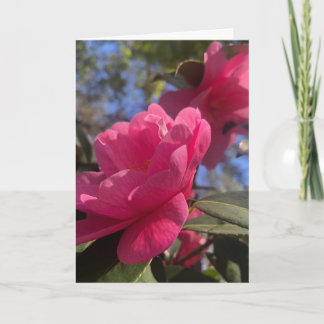 Roze Bloemblaadjes 1 - Vouwbare Wenskaart Kaart