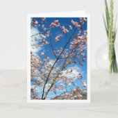 Roze bloemblaadjes in Blue Sky Landscape Kaart (Voorkant)