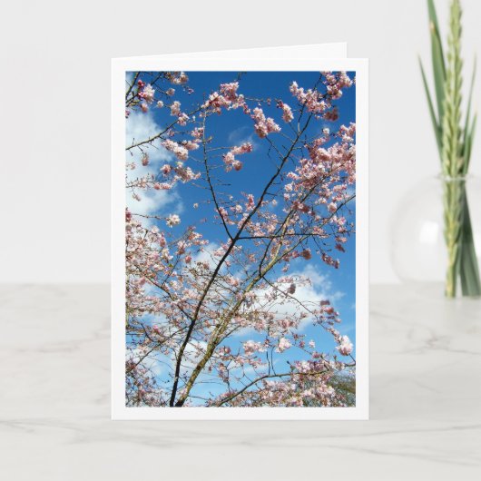 Roze bloemblaadjes in Blue Sky Landscape Kaart (Voorkant)