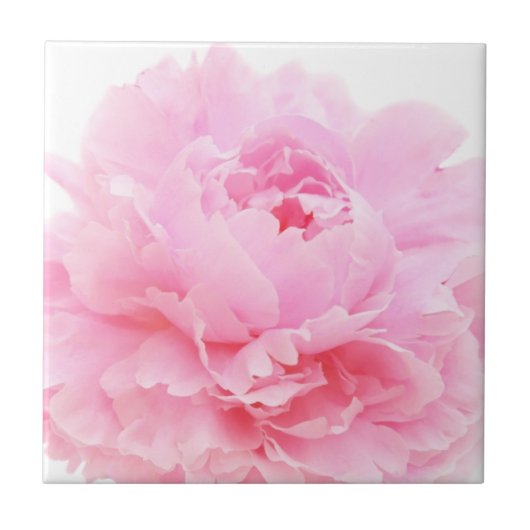 roze bloemblaadjes tegeltje (Voorkant)