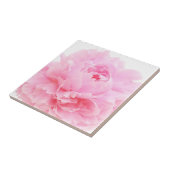 roze bloemblaadjes tegeltje (Zijkant)