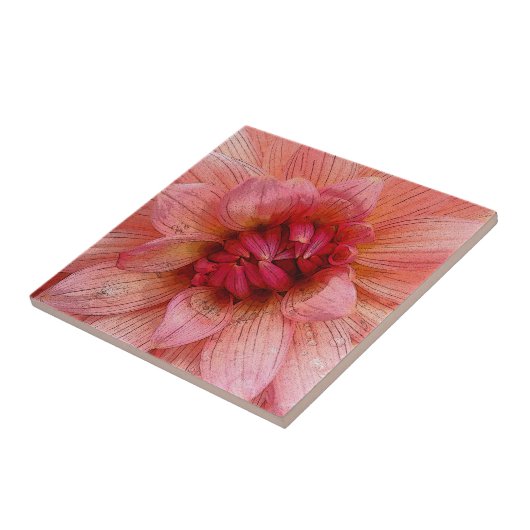 roze bloemblaadjes tegeltje (Zijkant)