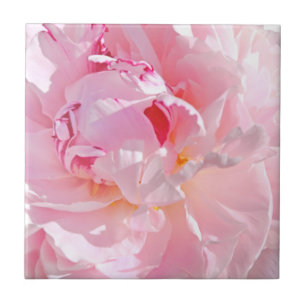 roze bloemblaadjes tegeltje