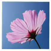 Roze bloemblaadjes tegeltje (Voorkant)