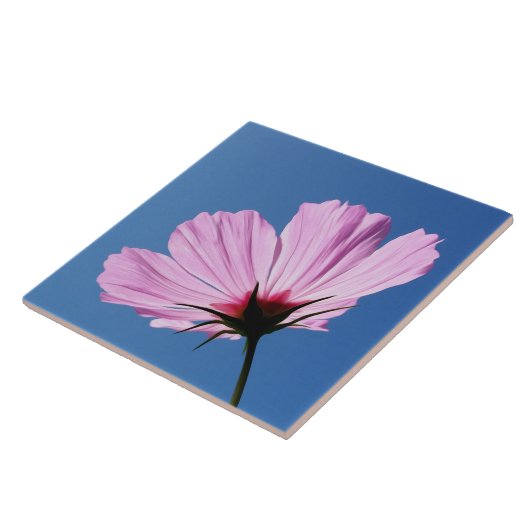 Roze bloemblaadjes tegeltje (Zijkant)
