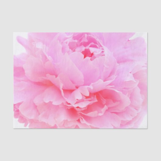 roze bloemblaadjes tissuepapier (Voorkant)