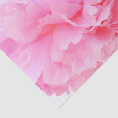 roze bloemblaadjes tissuepapier (Detail)