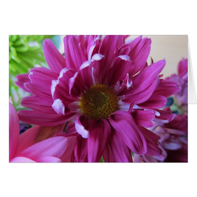 Roze bloemen (Voorkant Horizontaal)