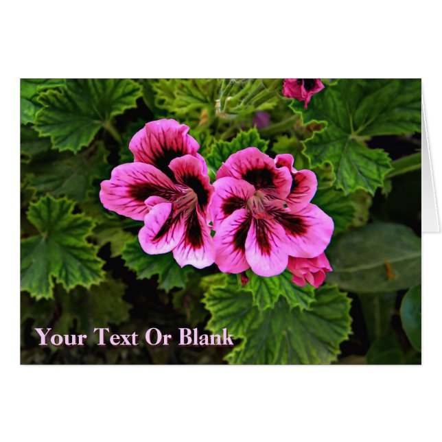 Roze bloemen 1 (Voorkant Horizontaal)