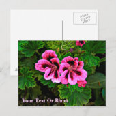 Roze bloemen 1 briefkaart (Voorkant / Achterkant)