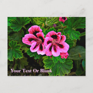 Roze bloemen 1 briefkaart