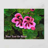 Roze bloemen 1 briefkaart (Voorkant)