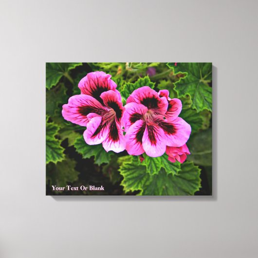 Roze bloemen 1 canvas afdruk (Voorkant)