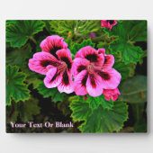 Roze bloemen 1 fotoplaat (Voorkant)