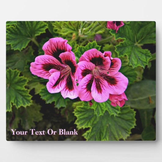 Roze bloemen 1 fotoplaat (Voorkant)