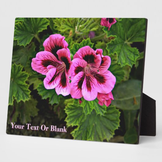 Roze bloemen 1 fotoplaat (Zijkant)