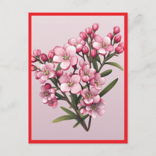 ROZE BLOEMEN #2 Ansichtkaart Briefkaart