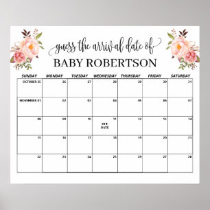Roze bloemen Baby shower Vervaldatum agenda Poster