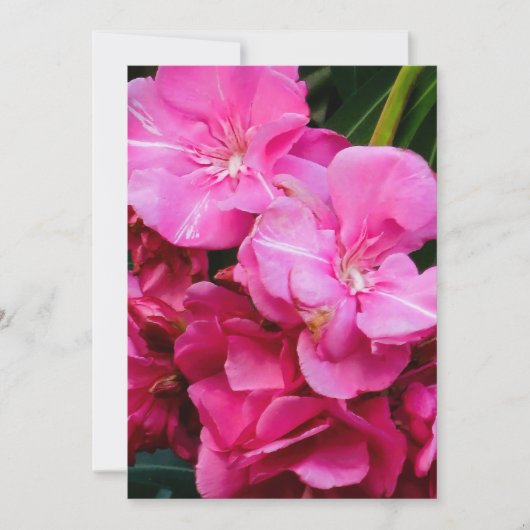 Roze bloemen bedankkaart (Voorkant)