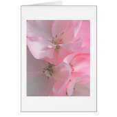  roze bloemen blanco noot (Voorkant)