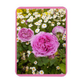 Roze Bloemen Bloem Rozen Madeliefjes  Magneet (Verticaal)