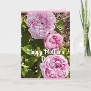 Roze Bloemen Bloem Rozen Moederdag Kaart