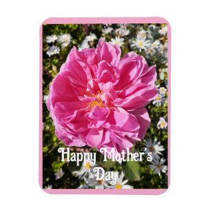 Roze Bloemen Bloemen Bloemen Roos Rozen Moederdag  Magneet