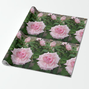 Roze bloemen bloemen bloemtuin Verpakking Cadeaupapier
