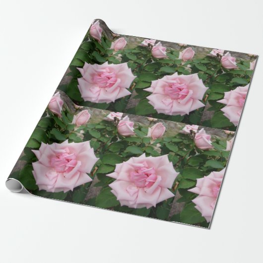 Roze bloemen bloemen bloemtuin Verpakking Cadeaupapier (Uitgerold)