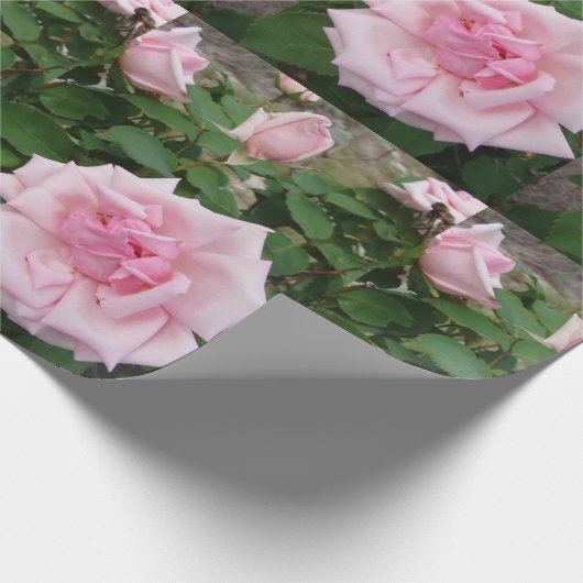 Roze bloemen bloemen bloemtuin Verpakking Cadeaupapier (Hoek)