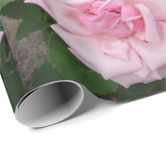 Roze bloemen bloemen bloemtuin Verpakking Cadeaupapier (Rol Hoek)