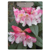 Roze bloemen bloemen klembord (Voorkant)