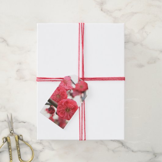 roze bloemen bloemen label cadeaulabel (Met Touw)