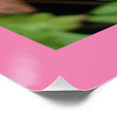 Roze Bloemen Bloemen Tulp Tulpen Tuin Poster (Hoek)