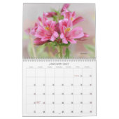 Roze Bloemen Bloemenkalender Kalender (Jan 2027)