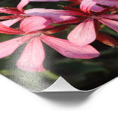 Roze Bloemen Bloesems Fotopapier Print Foto Afdruk (Hoek)