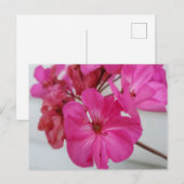 Roze bloemen briefkaart (Voorkant / Achterkant)