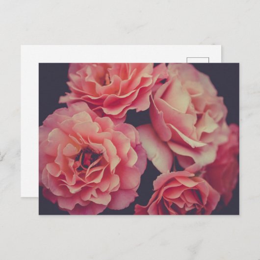 Roze bloemen briefkaart (Voorkant / Achterkant)