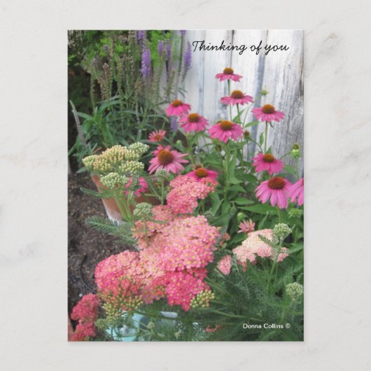 Roze bloemen briefkaart (Voorkant)